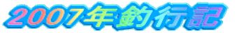 2007NލsL