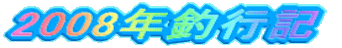 2008NލsL