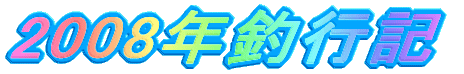 2008NލsL