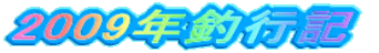 2009NލsL