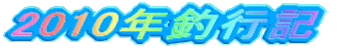 2010NލsL