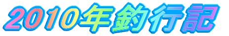 2010NލsL