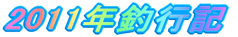 2011NލsL