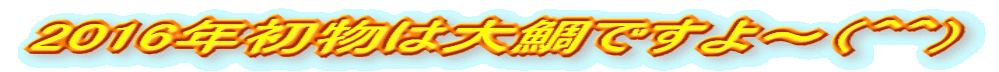 2016N͑ł`iOOj