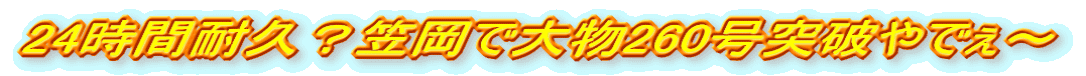 24ԑϋvH}ő啨260˔jł`