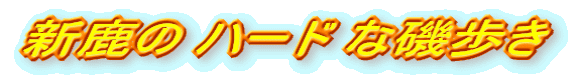 V n[h Ȉ