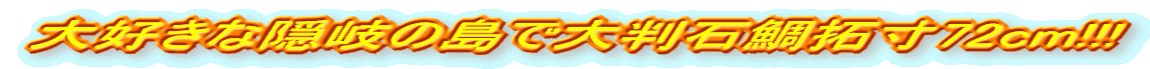 大好きな隠岐の島で大判石鯛拓寸72cm!!!