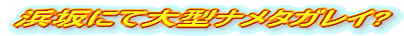 lɂđ^i^KC?