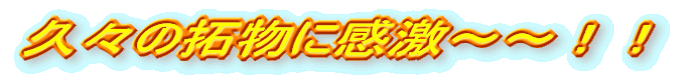 vX̑񕨂Ɋ``II