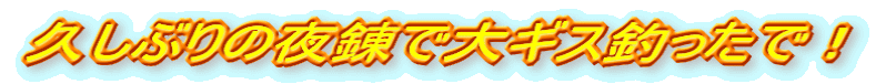 久しぶりの夜錬で大ギス釣ったで!