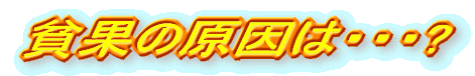 nʂ̌́EEE?