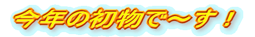 N̏Ł`I