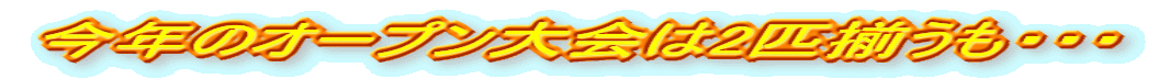 ÑI[v2CEEE