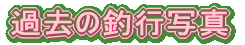 ߋ̒ލsʐ^