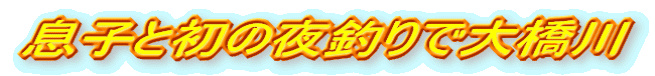 息子と初の夜釣りで大橋川