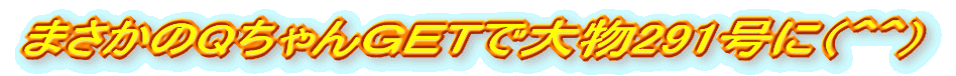 ܂Qfdső啨291ɁiOOj