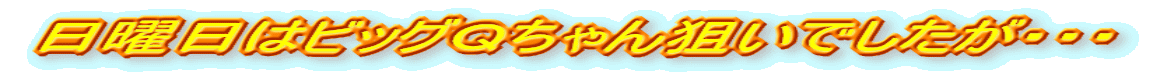 j̓rbOp_łEEE