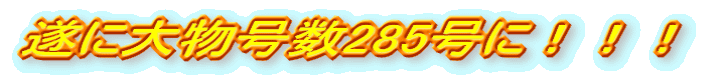 ɑ啨285ɁIII