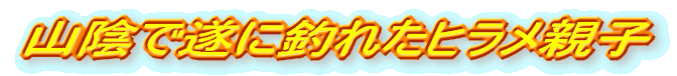 RAŐɒނꂽqeq