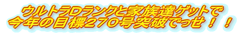 EgcNƉƑBQbg N̖ڕWQVO˔jłII