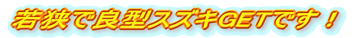 ዷŗǌ^XYLGETłI