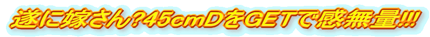 ɉł?45cmDGETŊ!!!