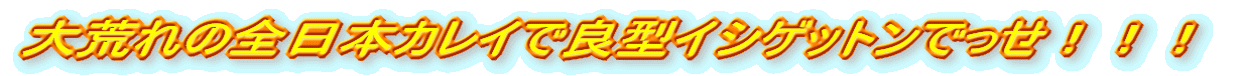 ȓS{JCŗǌ^CVQbgłIII